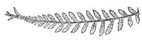 289897.jpg