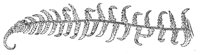 289879.jpg