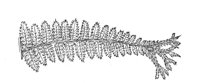 289845.jpg