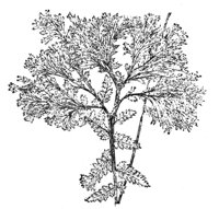 289841.jpg
