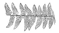 289817.jpg