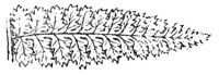 289811.jpg