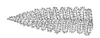 289803.jpg