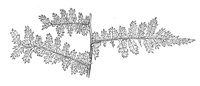 289801.jpg