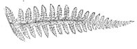 289761.jpg