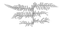 289759.jpg
