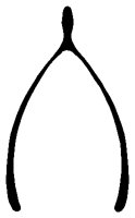 WISHBONE.PCX