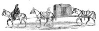 91512.jpg