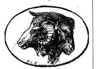 91424.jpg