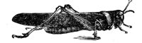 91272.jpg