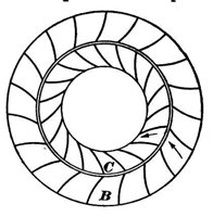 79504.jpg