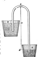 79458.jpg