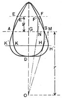 793971.jpg