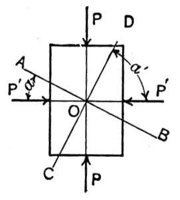 793641.jpg