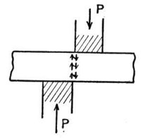 793593.jpg