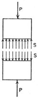 793585.jpg