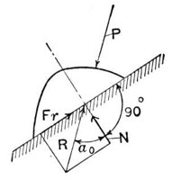 793381.jpg
