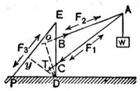 793347.jpg