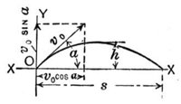 793323.jpg