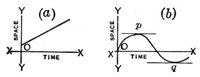 793177.jpg