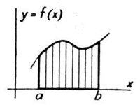 793109.jpg