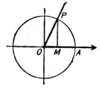 792917.jpg