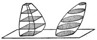 792891.jpg