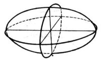 792877.jpg
