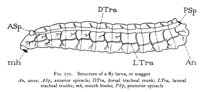 599106.jpg