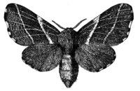 599082.jpg