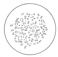 599074.jpg