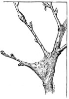599050.jpg