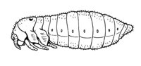 599034.jpg
