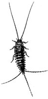 599028.jpg