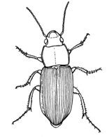 599016.jpg