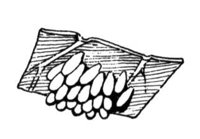 598994.jpg