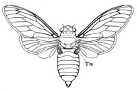 598954.jpg
