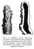 598942.jpg