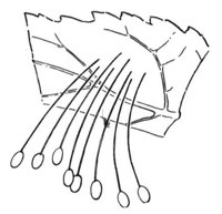 598910.jpg