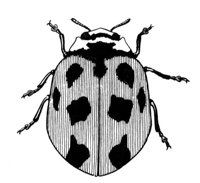 598904.jpg