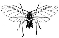 598890.jpg