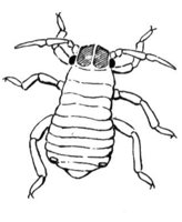 598866.jpg