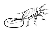 598848.jpg