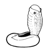 598840.jpg