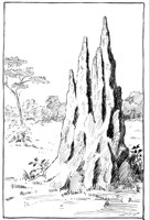 598814.jpg