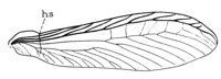 598806.jpg