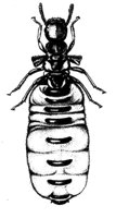 598804.jpg