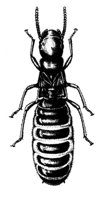 598802.jpg