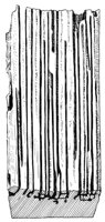 598782.jpg