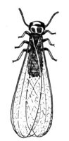 598774.jpg